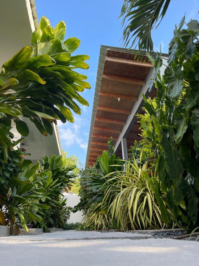 Royal Stay Inn Thoddoo Exterior photo